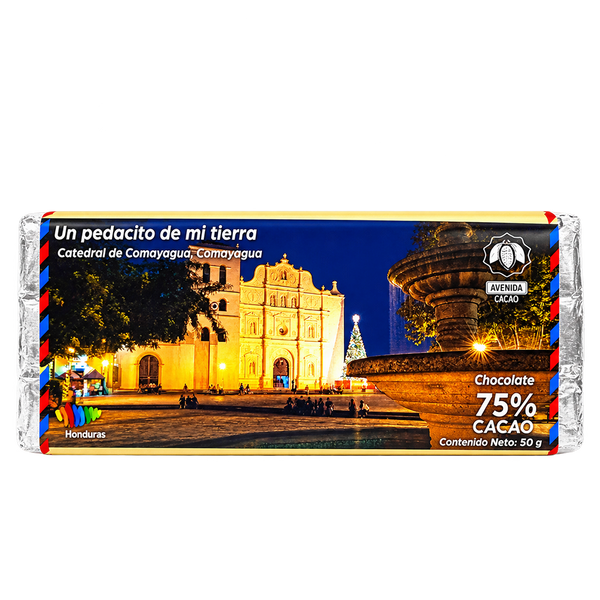 AVENIDACACAO BarraD/ChocoBl60g