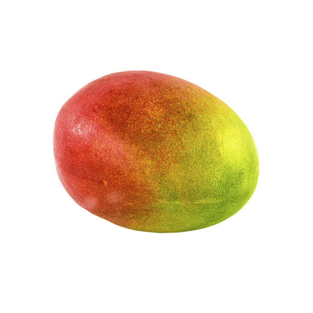 MANGO Jade X Libra