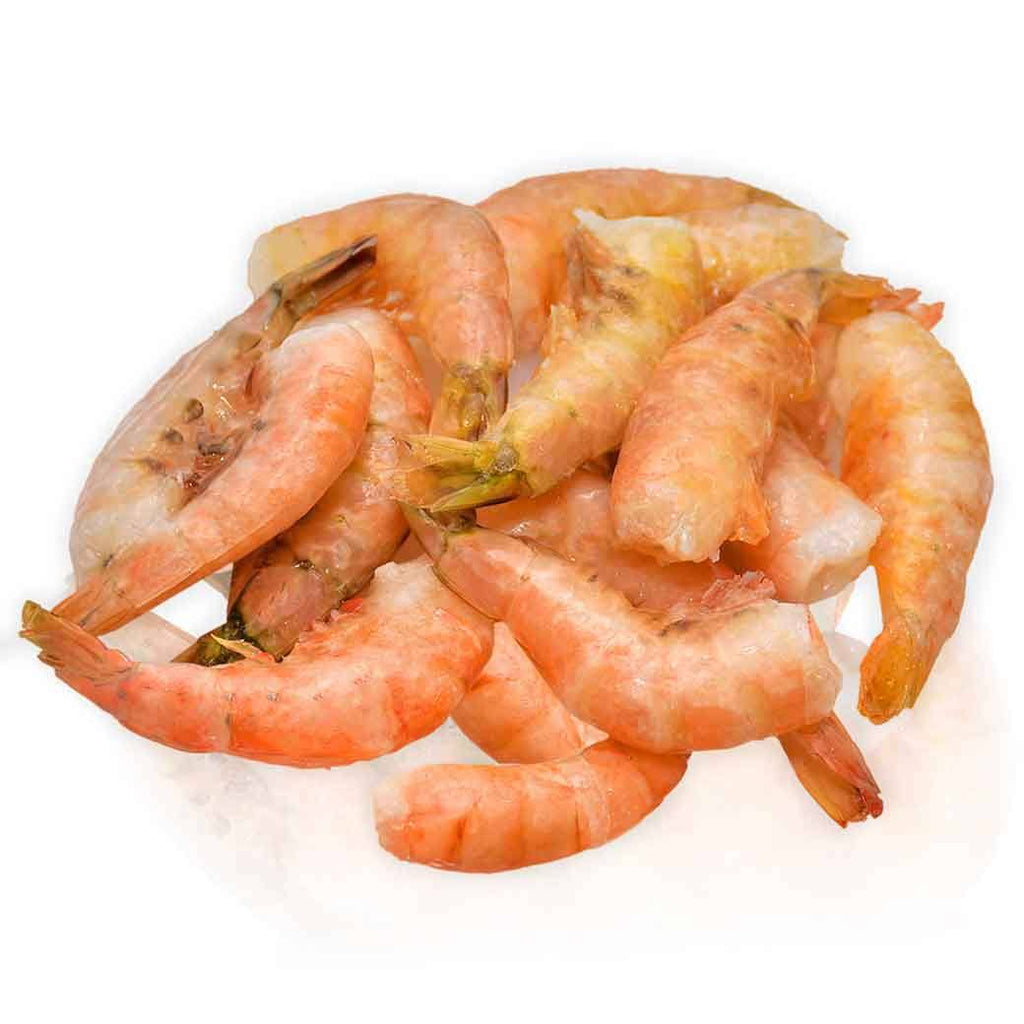 SM CAMARON Jumbo x Lb