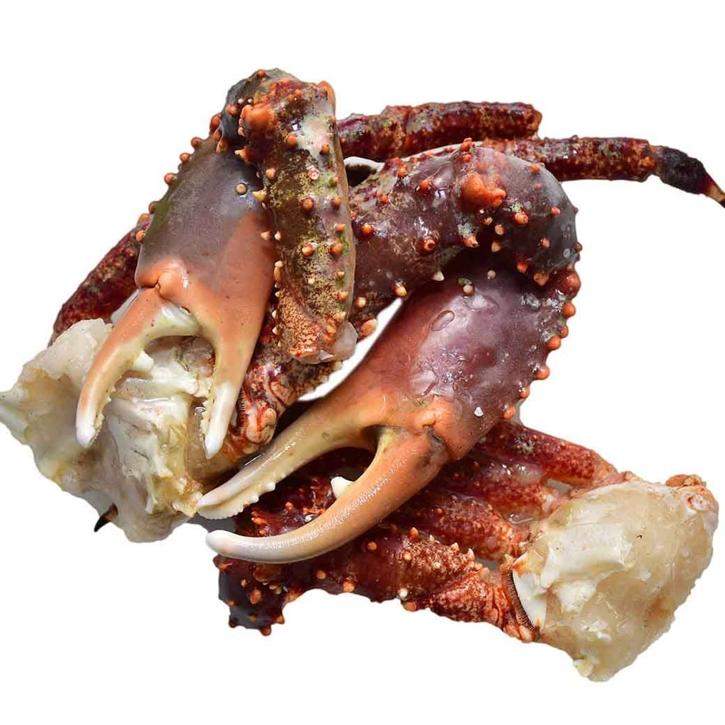 SM KING CRAB X Libra
