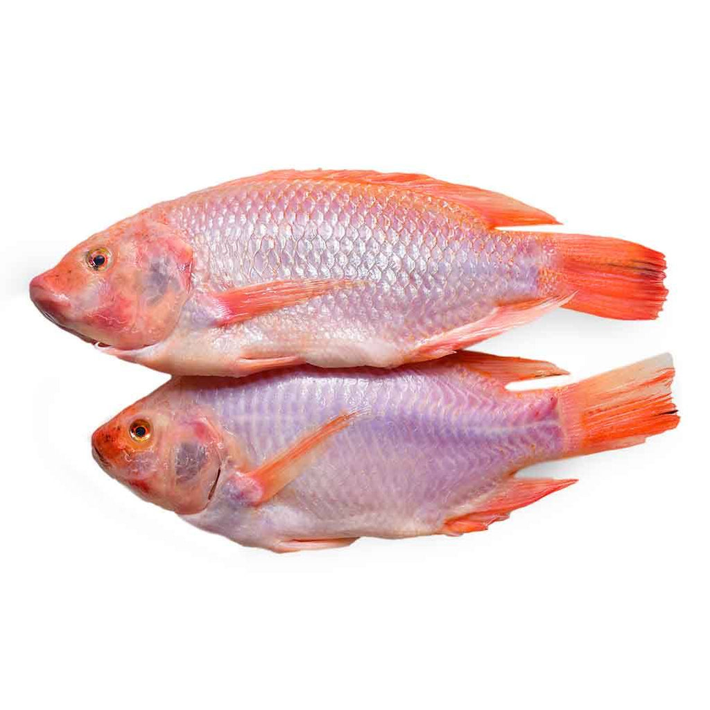 SM PESCADO Tilapia Rojo X Libr
