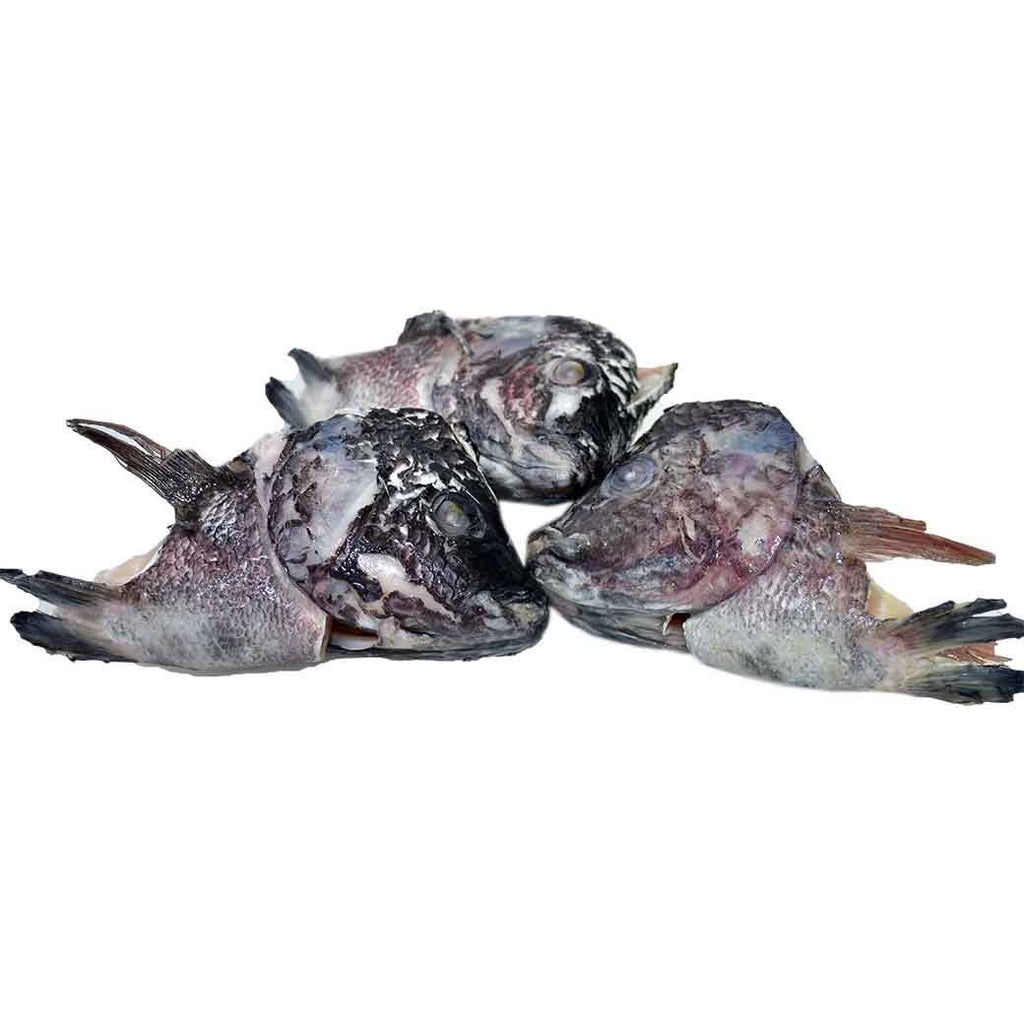 SM CABEZA Pescado TilapiaxLB
