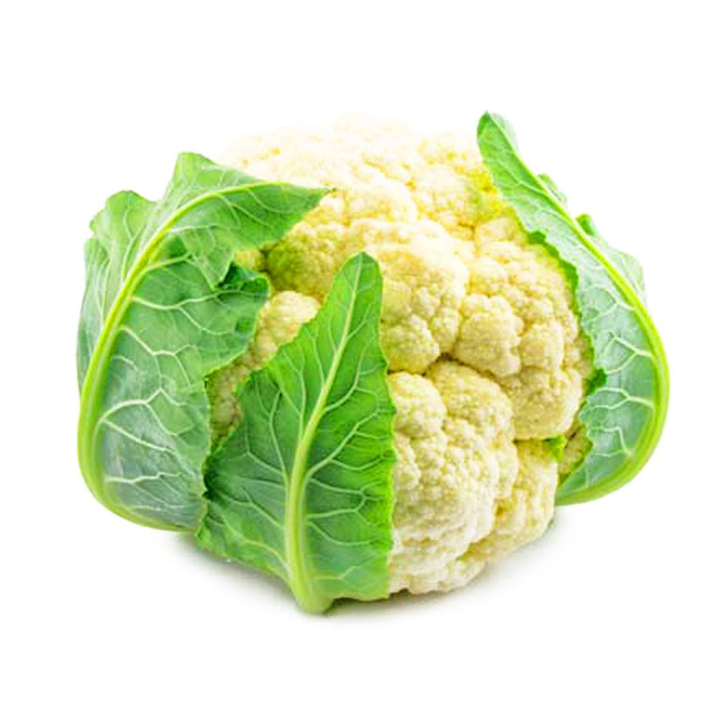 COLIFLOR X Libra