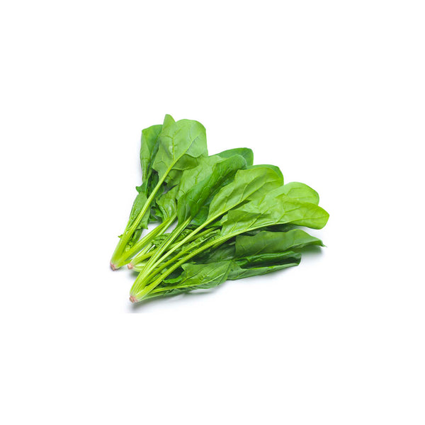 Espinaca criolla HND Mazo