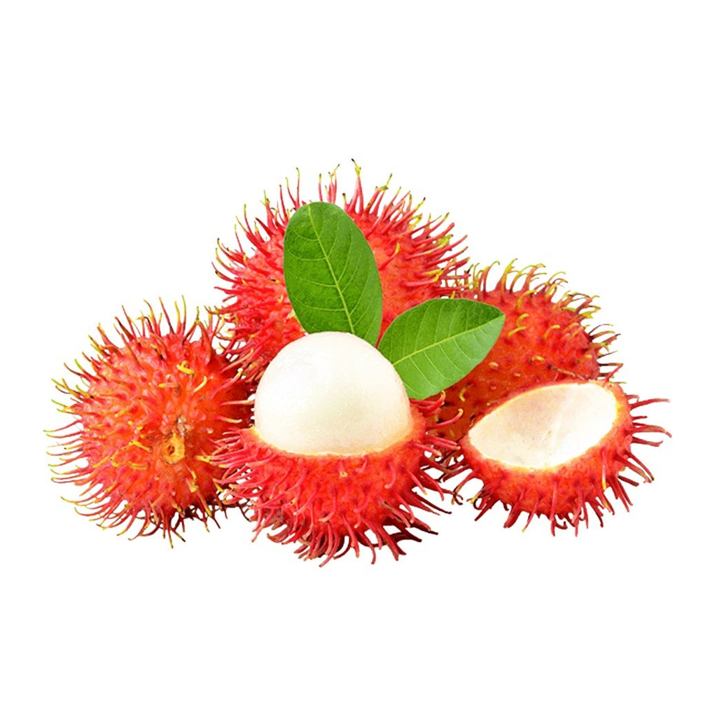 RAMBUTAN X Libra