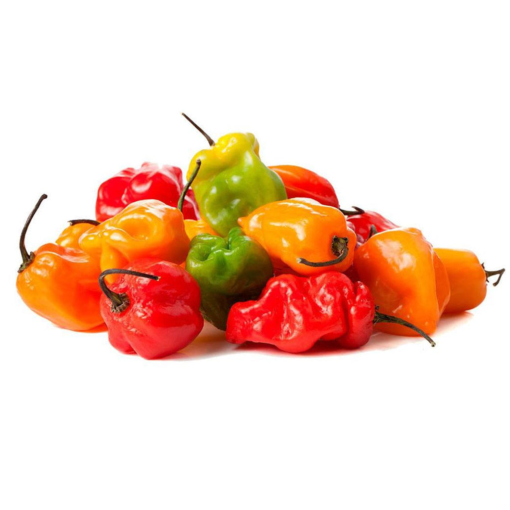 CHILE Habanero X Lbs