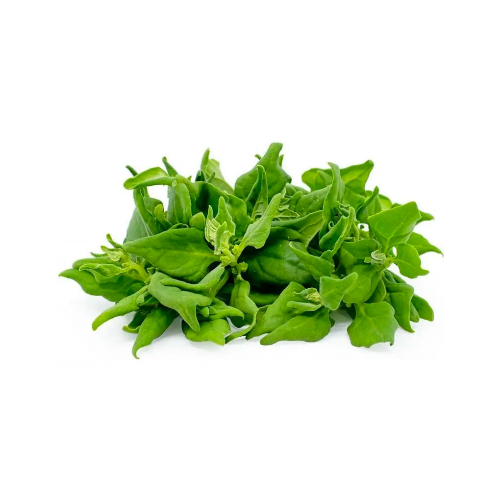 Espinaca (New Zelanda) Mazo