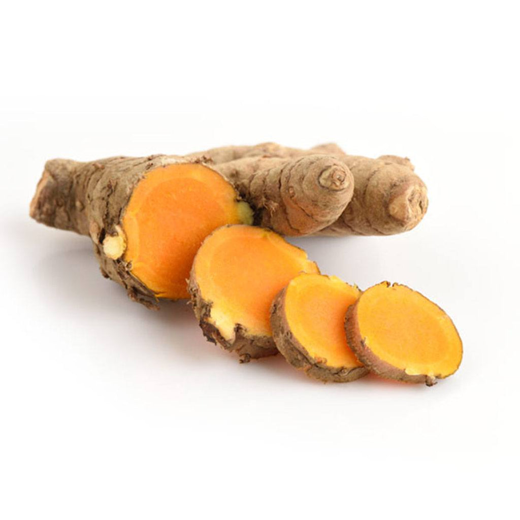 CURCUMA FRESCA X LB