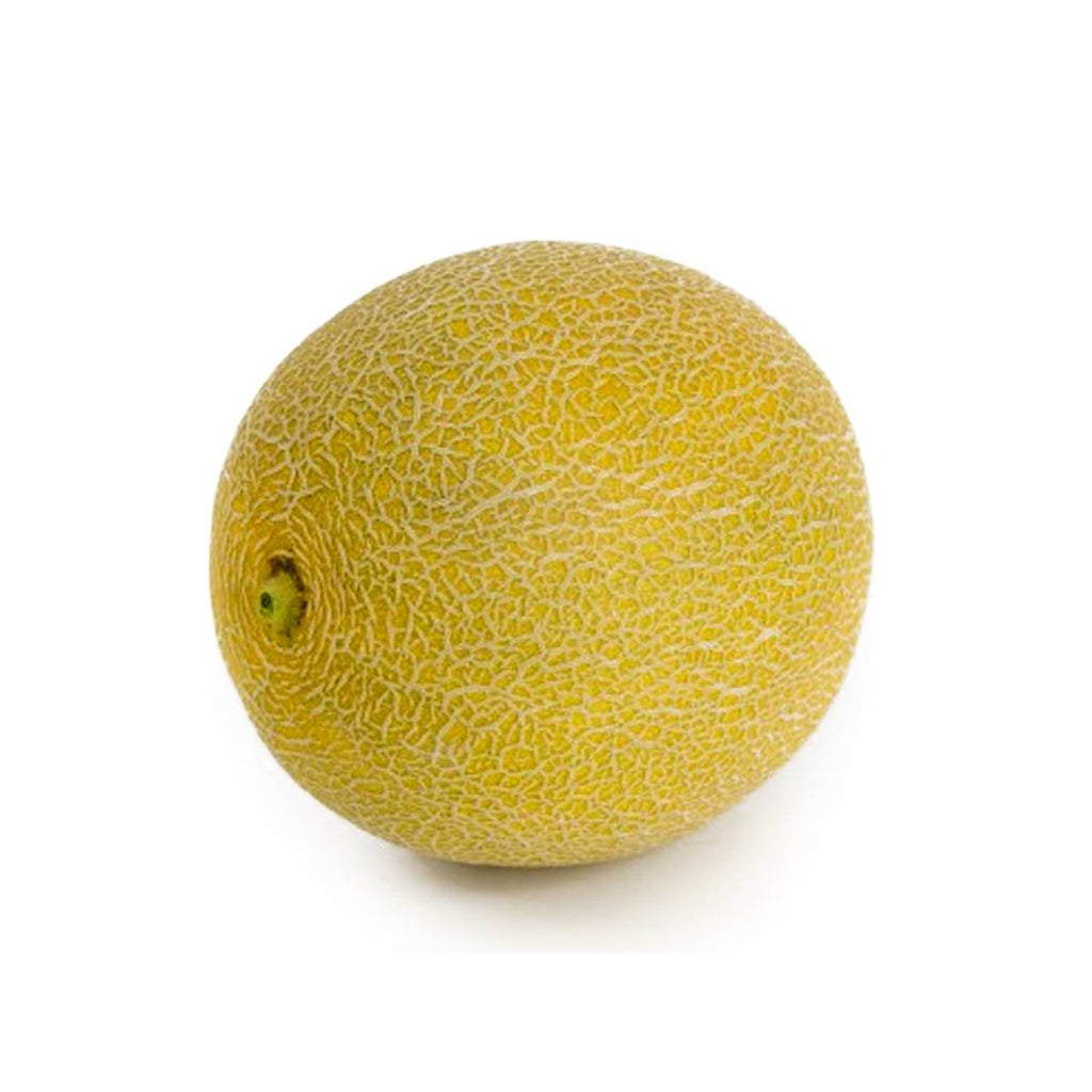 MELON X UND