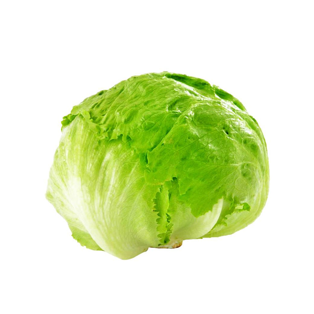 LECHUGA X Libra