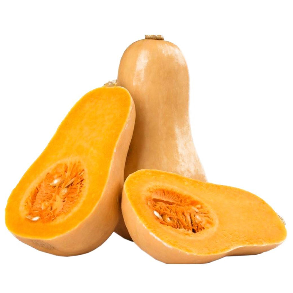 AYOTE CALABACIN Amarillo X Lb