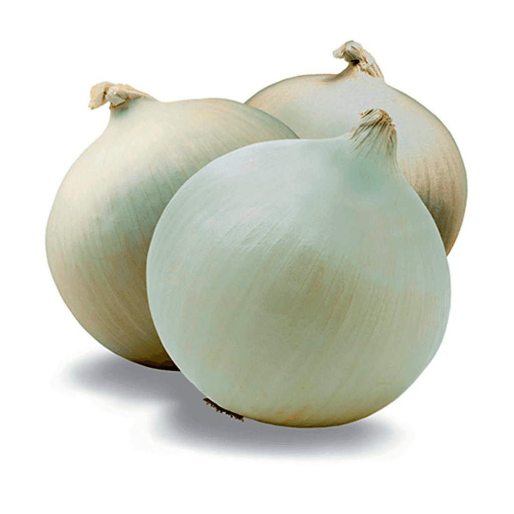 CEBOLLA Blanca X Libra