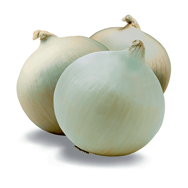 CEBOLLA Blanca X Libra