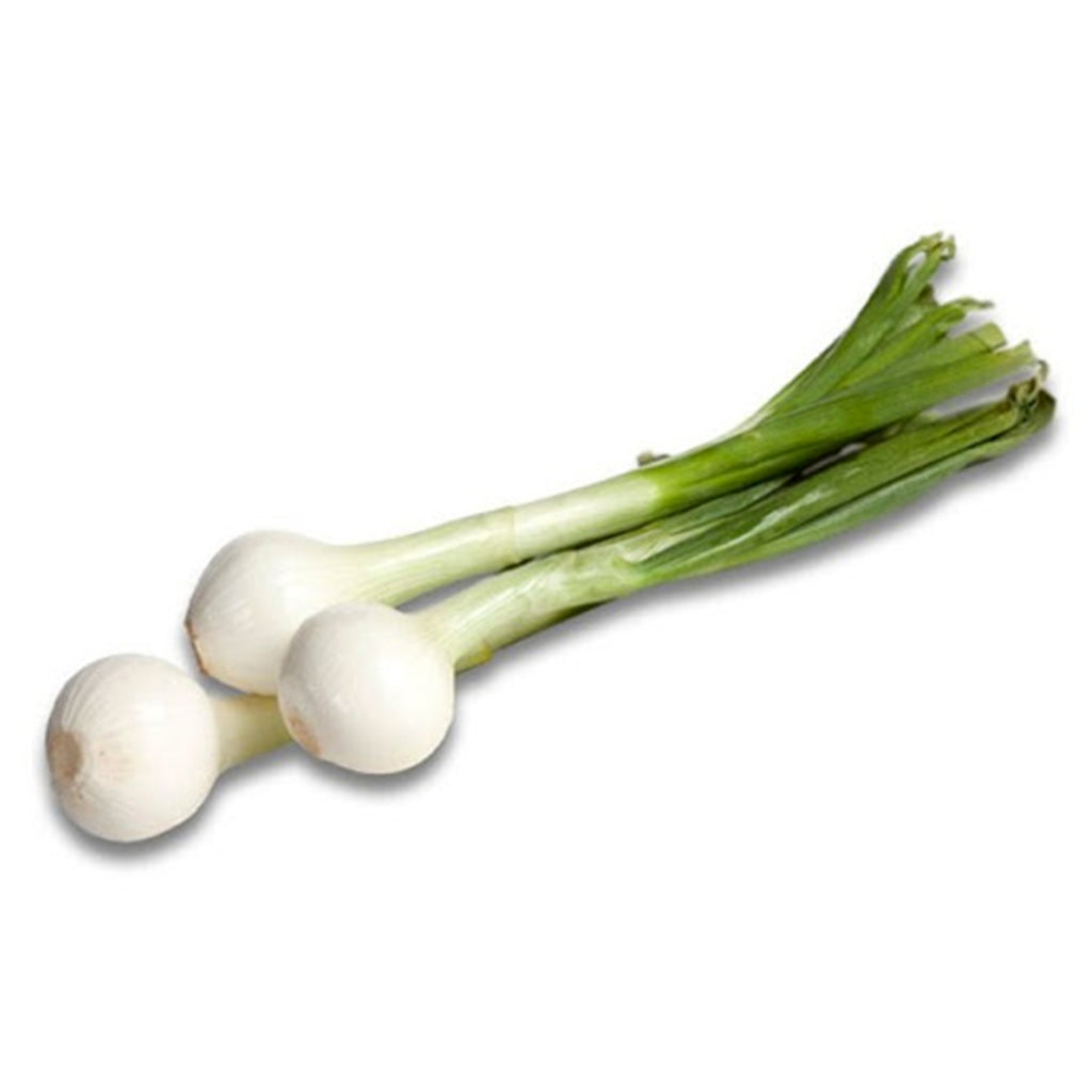 CEBOLLA Blanca En Mazo