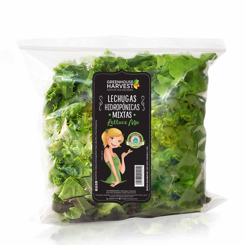 GREEN HOUSE Lechuga Gourmet