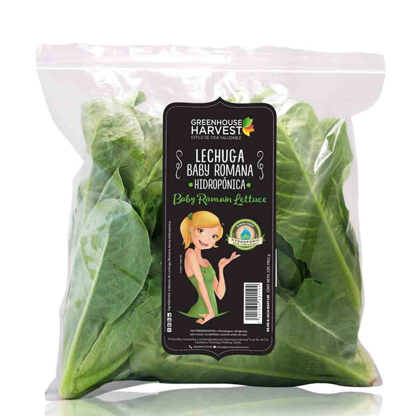 GREEN HOUSE Lechuga Baby Hidro