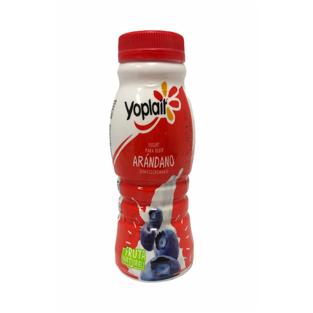 YOPLAIT Yougurt Arandano 235g