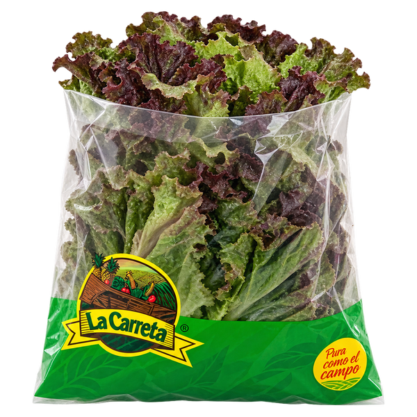 LA CARRETA Escarola Morada