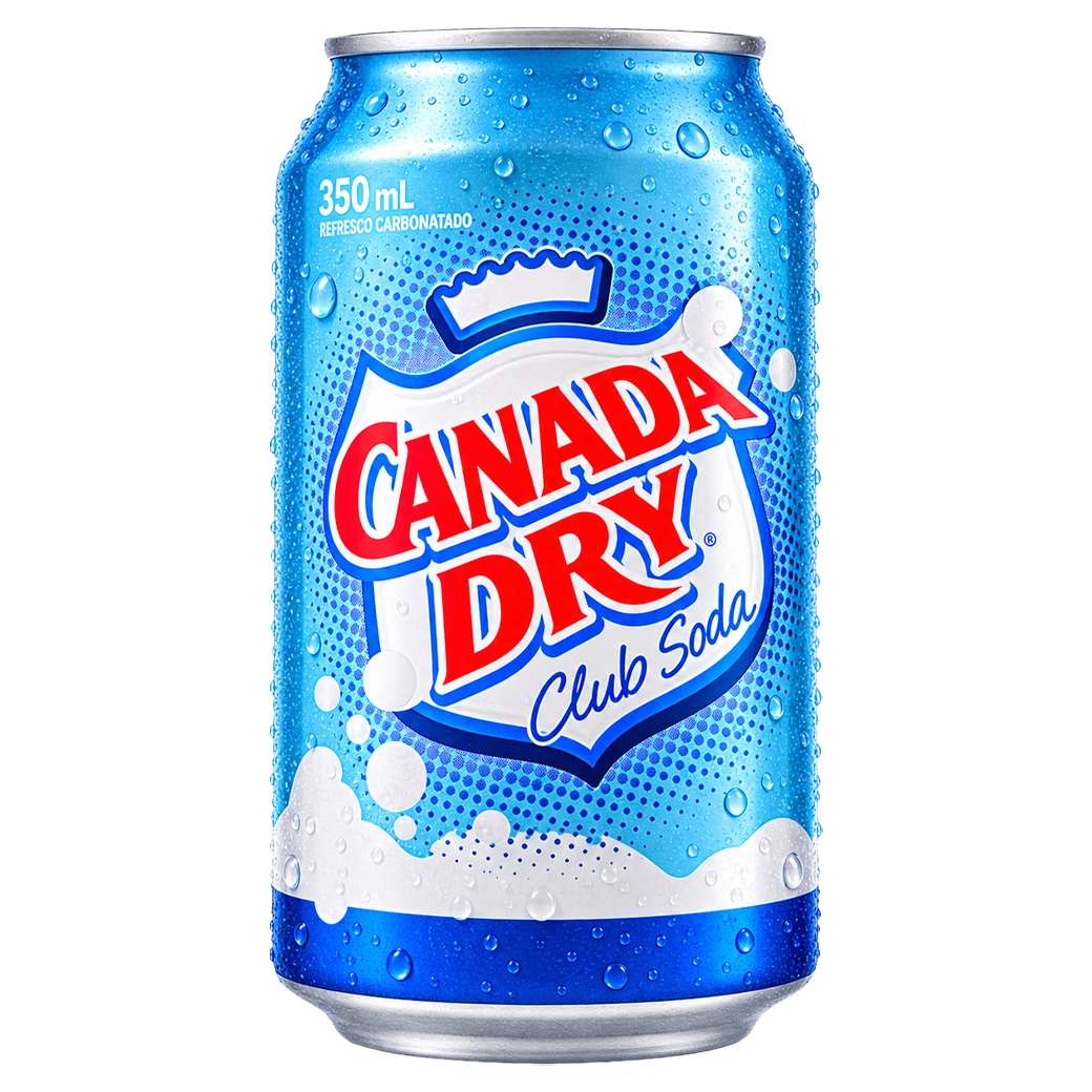 CANADA DRY Soda Lata 354 ml