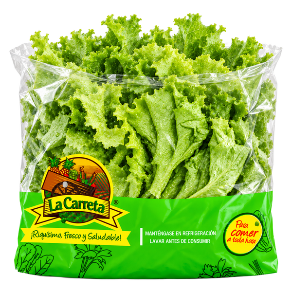 LA CARRETA Escarola Variedad