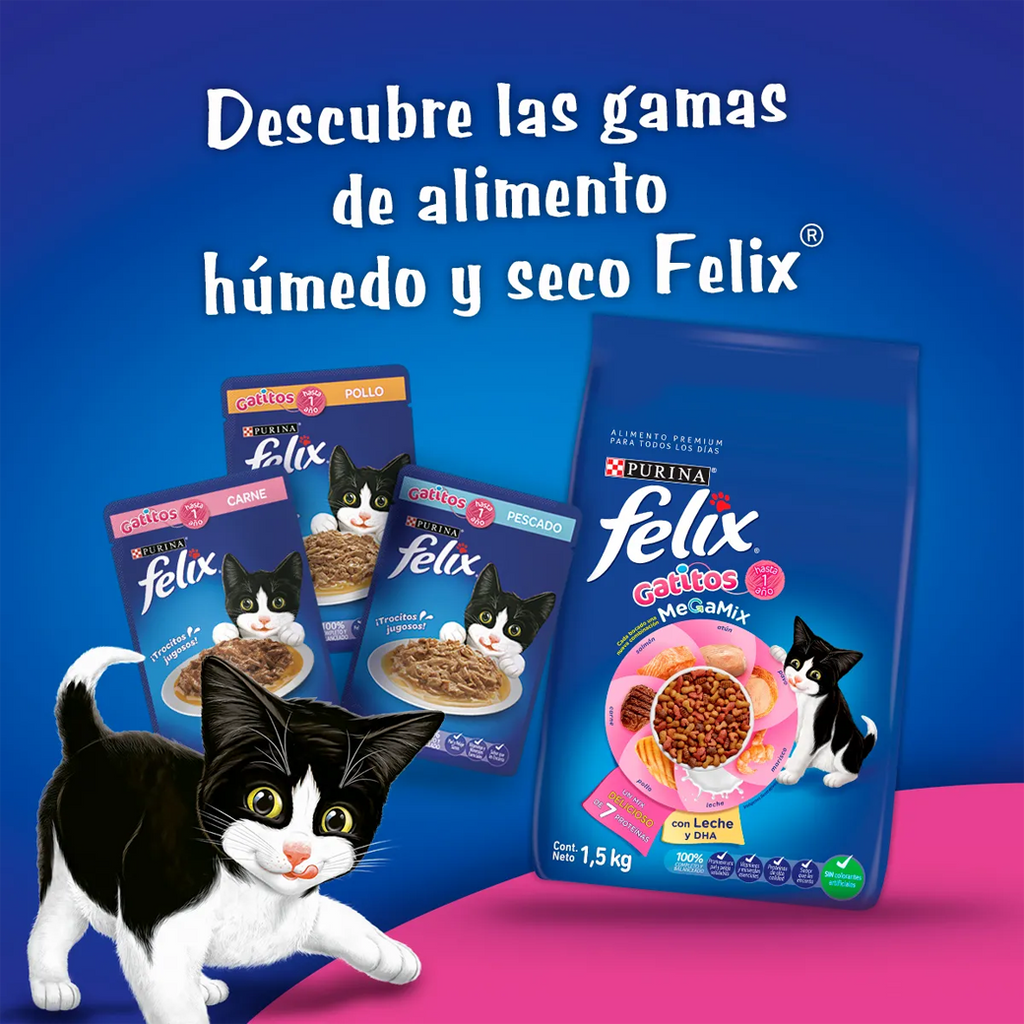FELIX Kitten 500gr