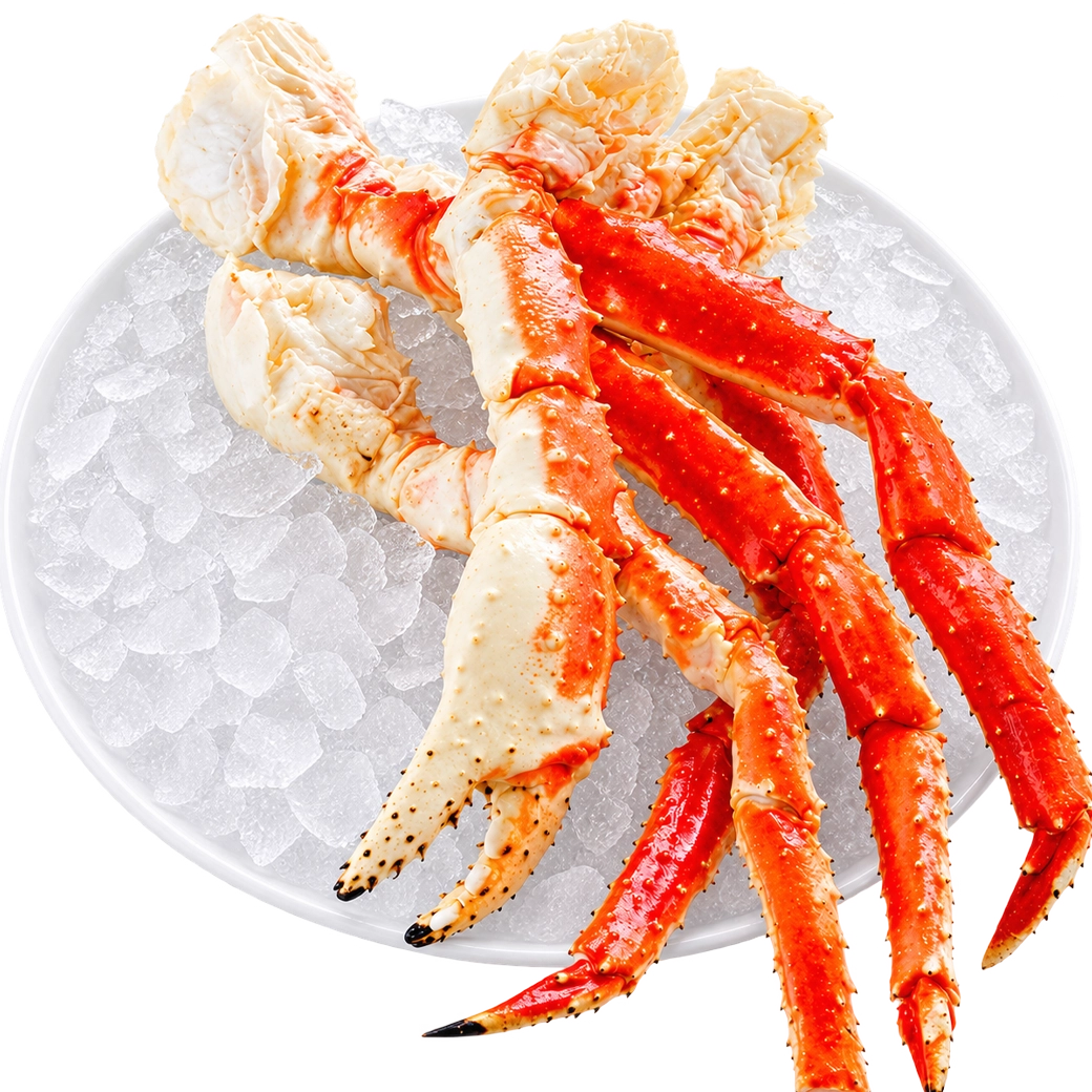SM KING CRAB X Libra