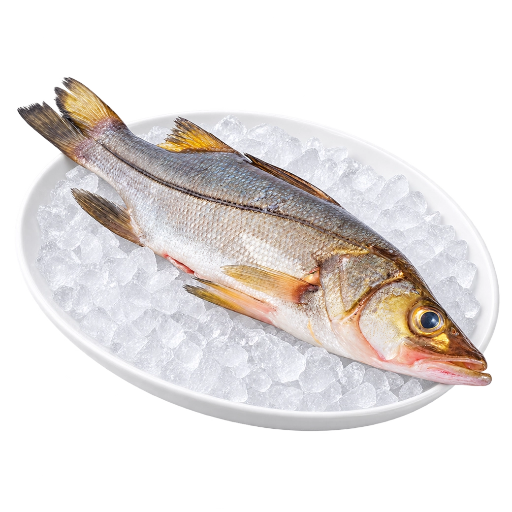 SM PESCADO Robalo X Lb