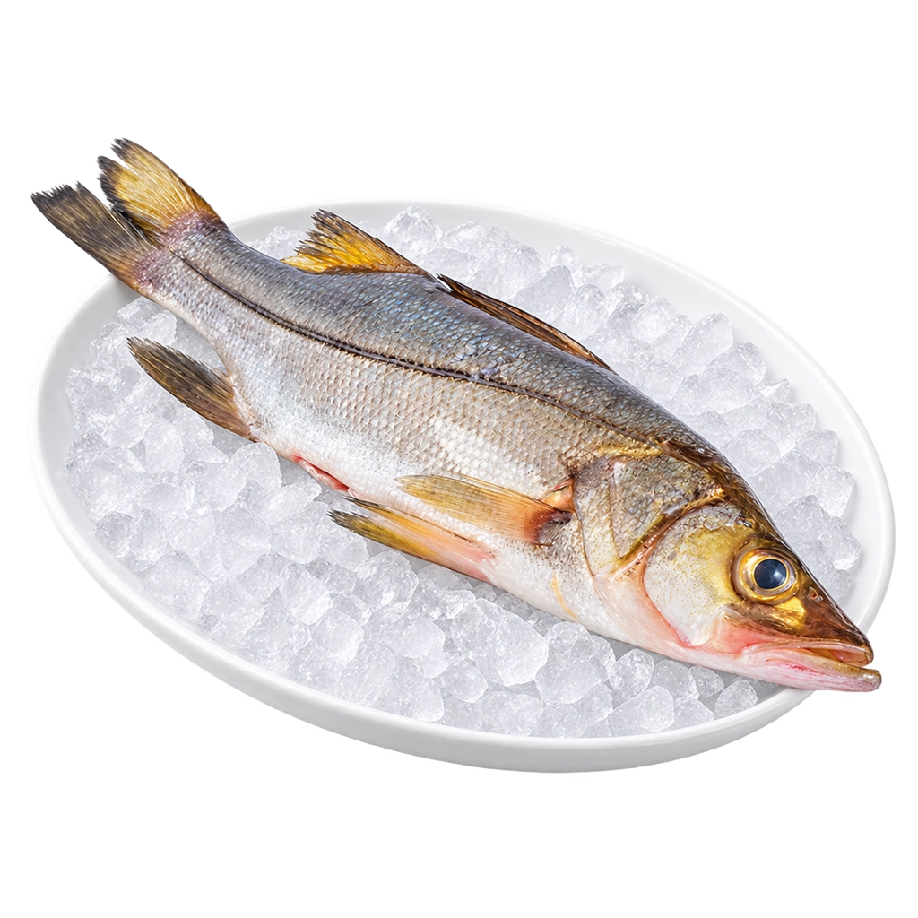 SM PESCADO Robalo X Lb