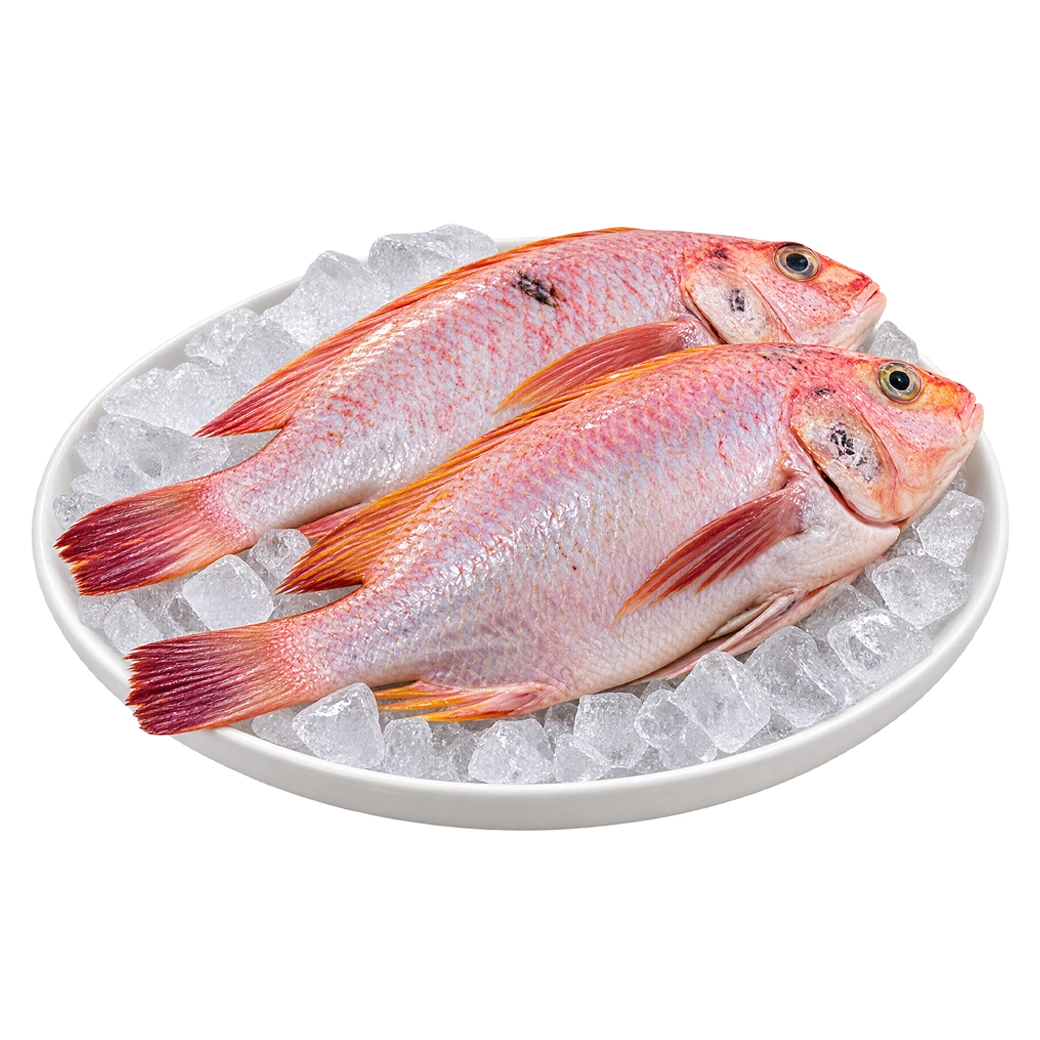SM PESCADO Tilapia Rojo X Libr